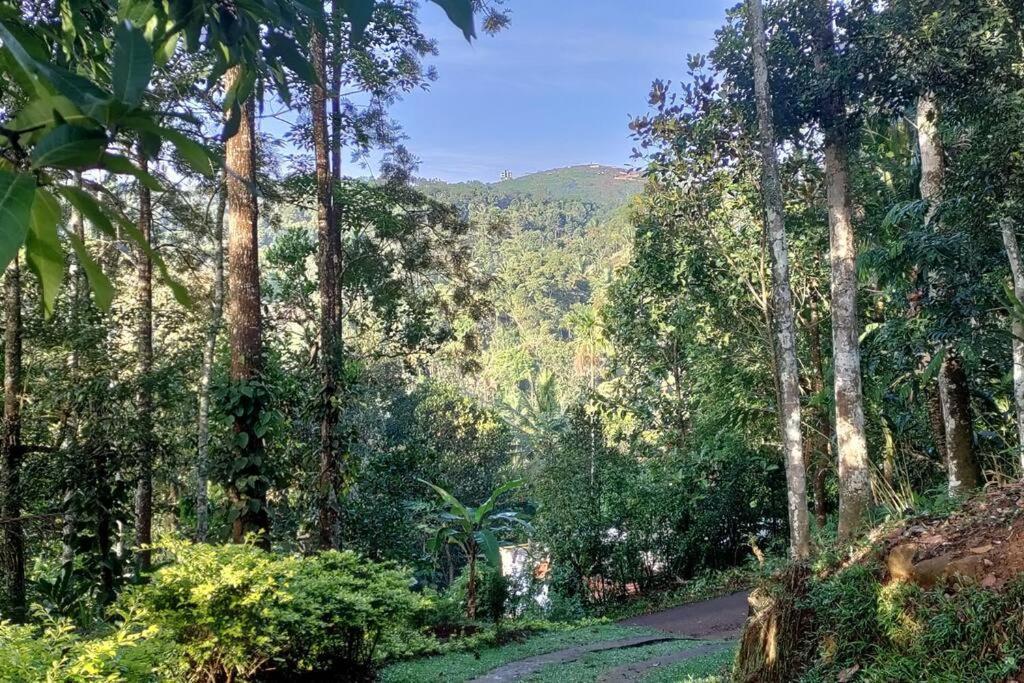 Coffee Camp Home Stay With Tree House Kattappana Экстерьер фото