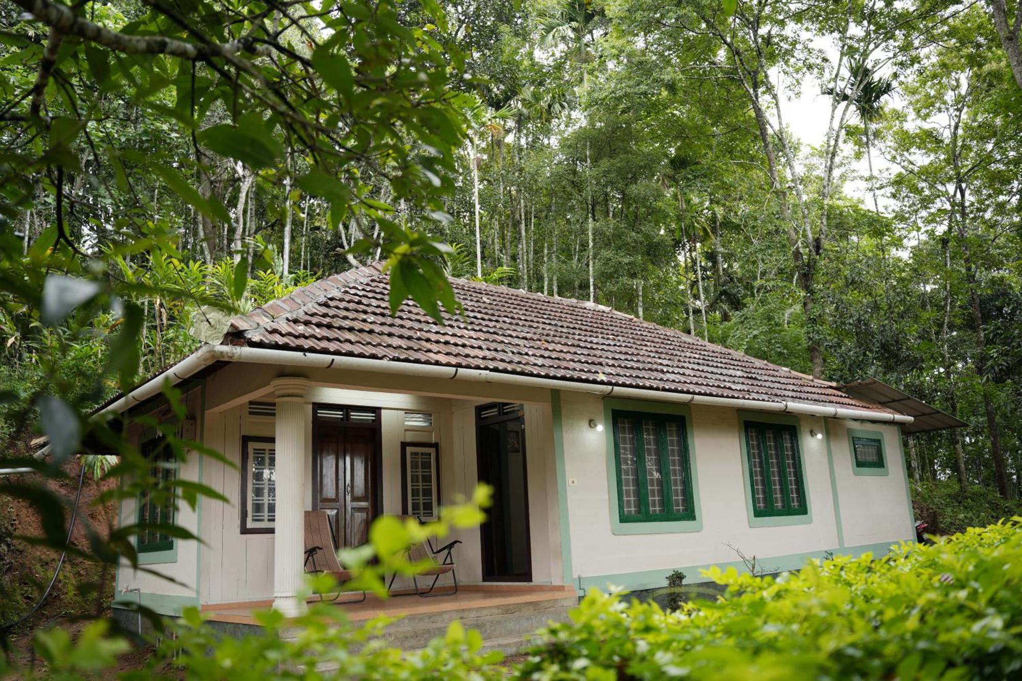 Coffee Camp Home Stay With Tree House Kattappana Экстерьер фото