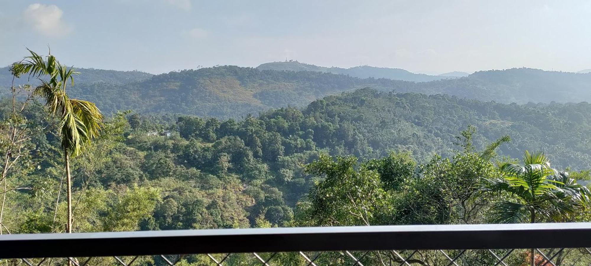 Coffee Camp Home Stay With Tree House Kattappana Экстерьер фото